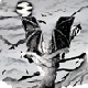 Avatar de Usuario